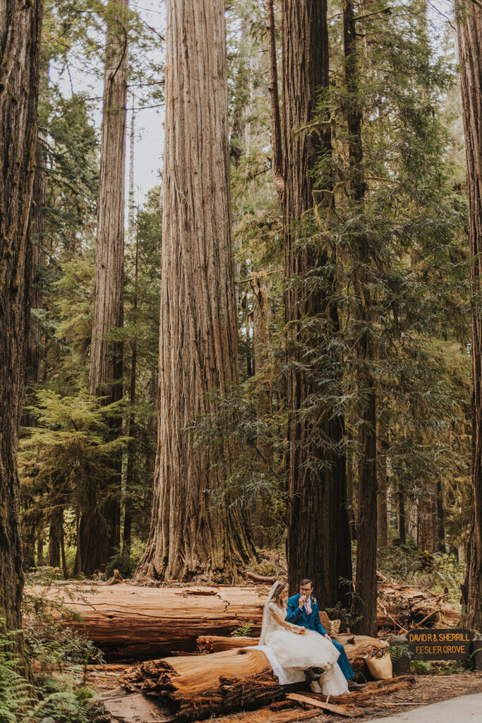 Redwood National Park Elopement