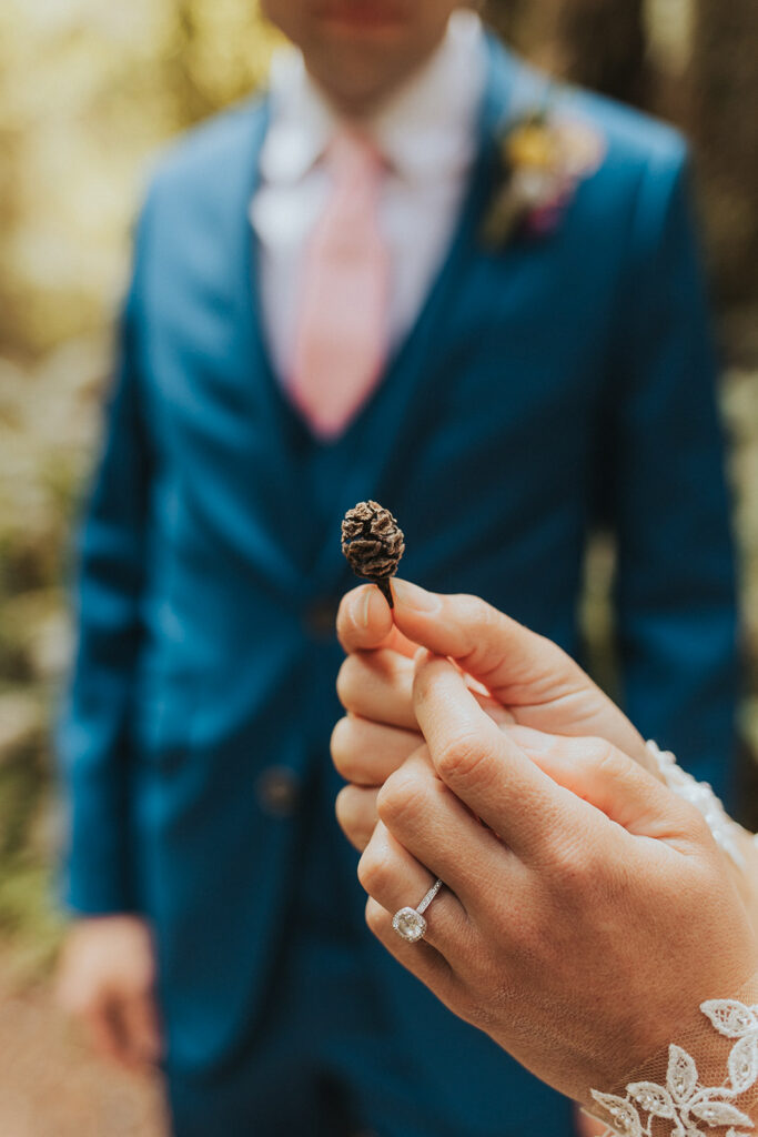 Redwood National Park Elopement