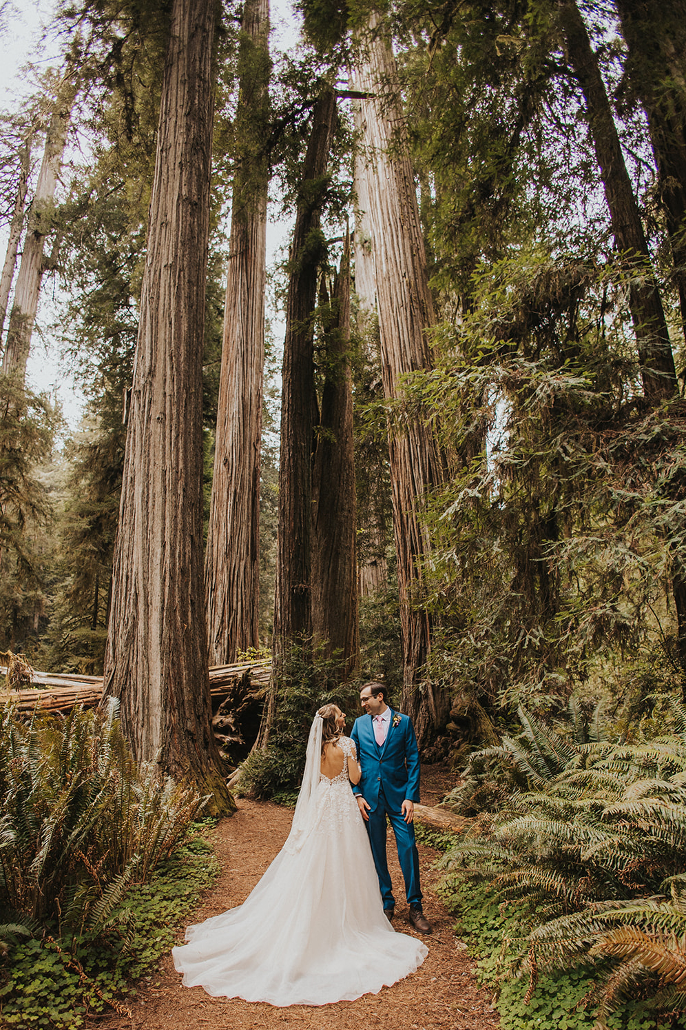 Redwood National Park Elopement