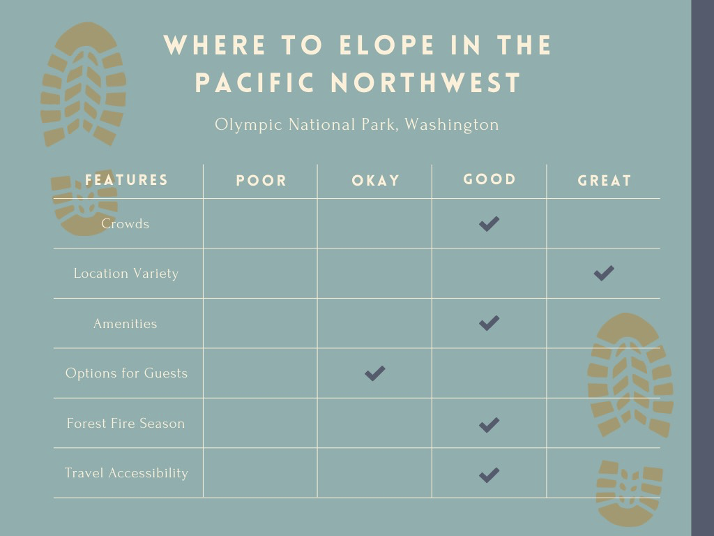 Eloping in Olympic National Park Washington