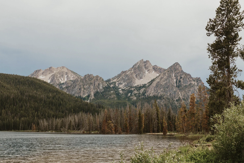 Stanley, ID and Sawtooth National Forest Elopement