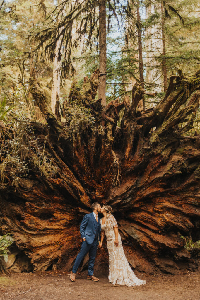 Redwood National Park Elopement