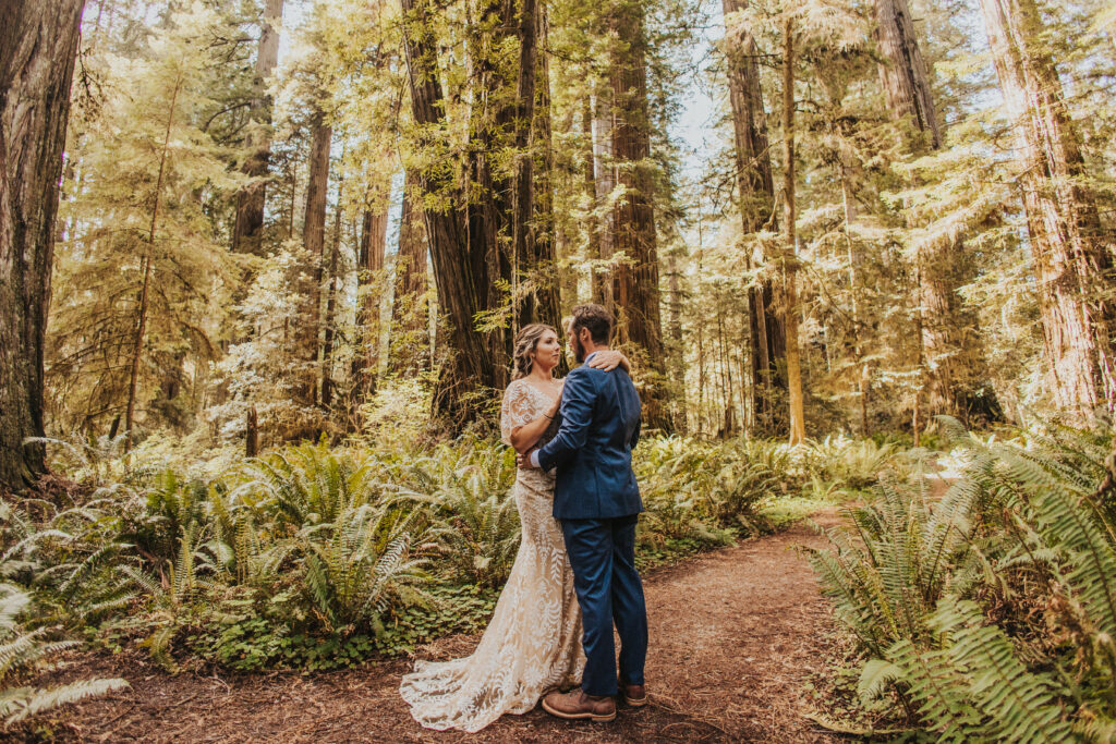 Redwood National Park Elopement