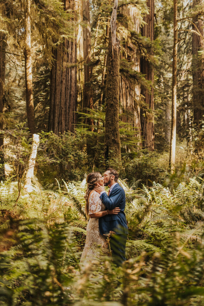 Redwood National Park Elopement