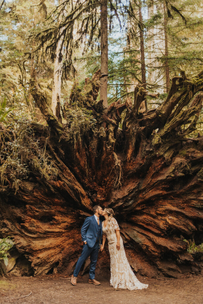 Redwood National Park Elopement