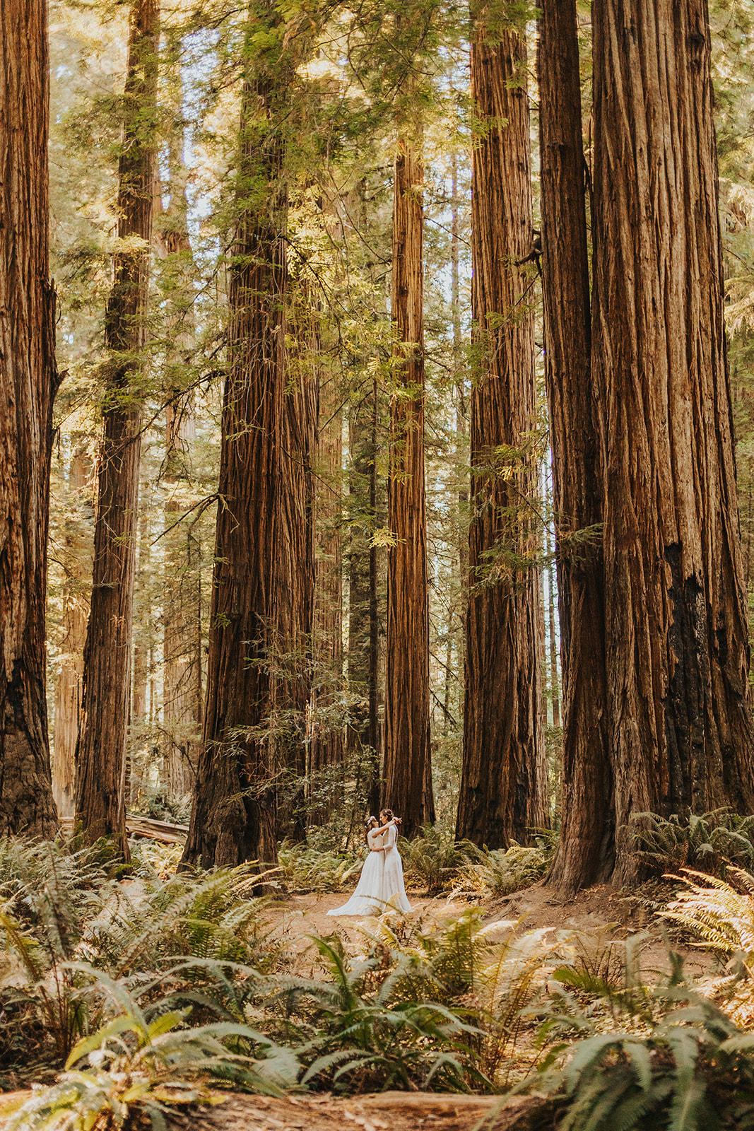 Oregon Coast and Redwood National Park Vow Renewal