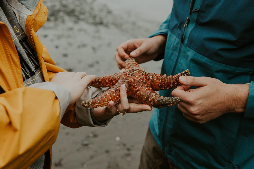 Tide pooling on the Oregon Coast during an elopement