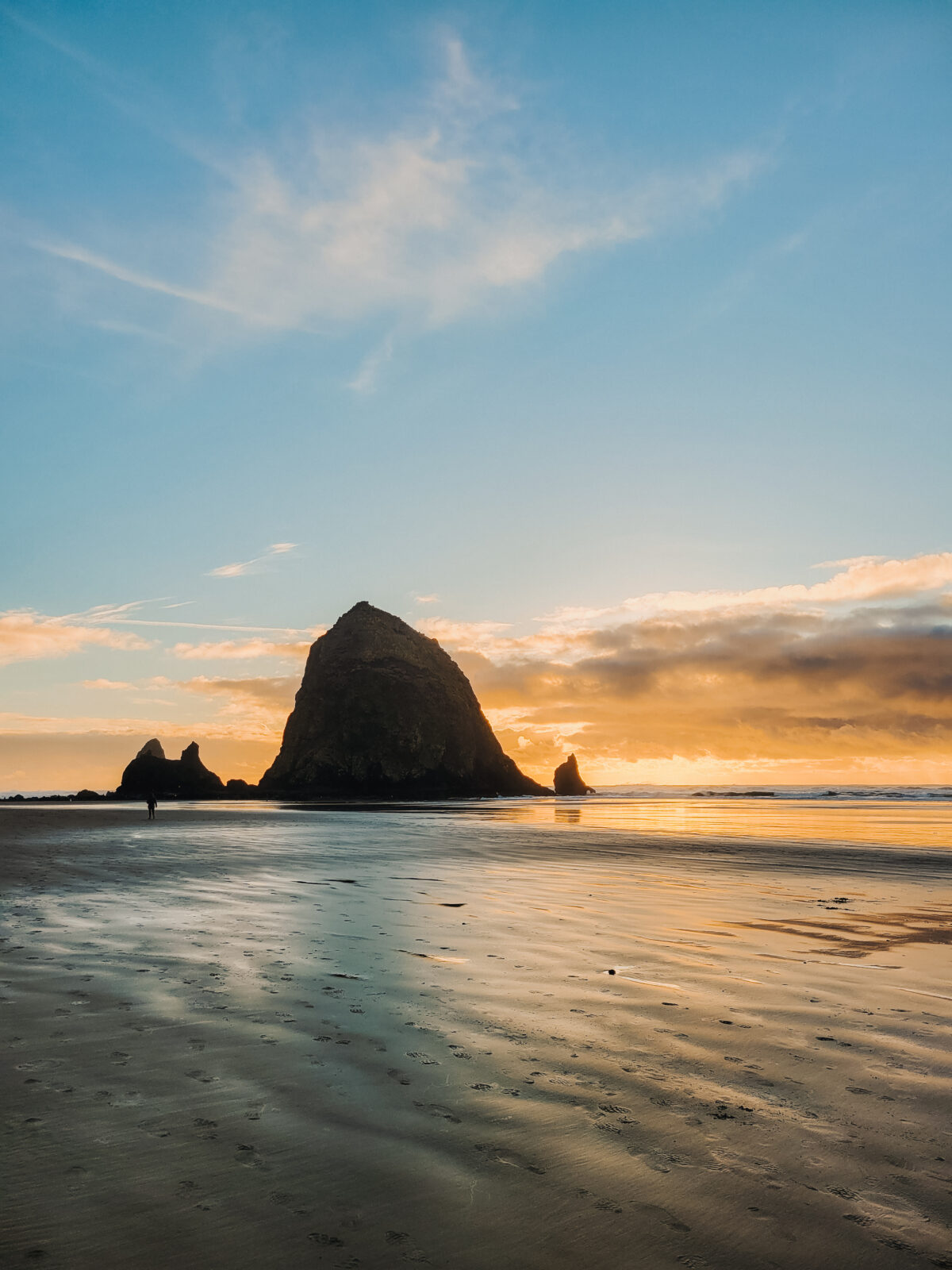 Everything You Need to Know About Tide Pooling on the Oregon Coast ...