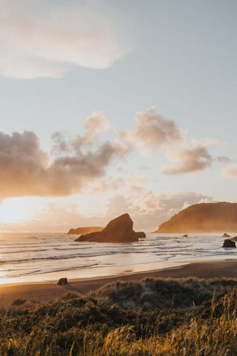 Everything You Need to Know About Tide Pooling on the Oregon Coast