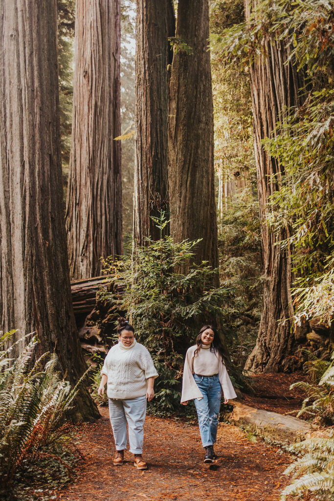 Redwood National Park elopement