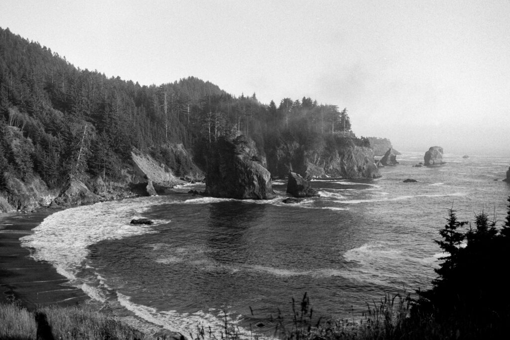 Oregon Coast on Ilford Ortho black and white film