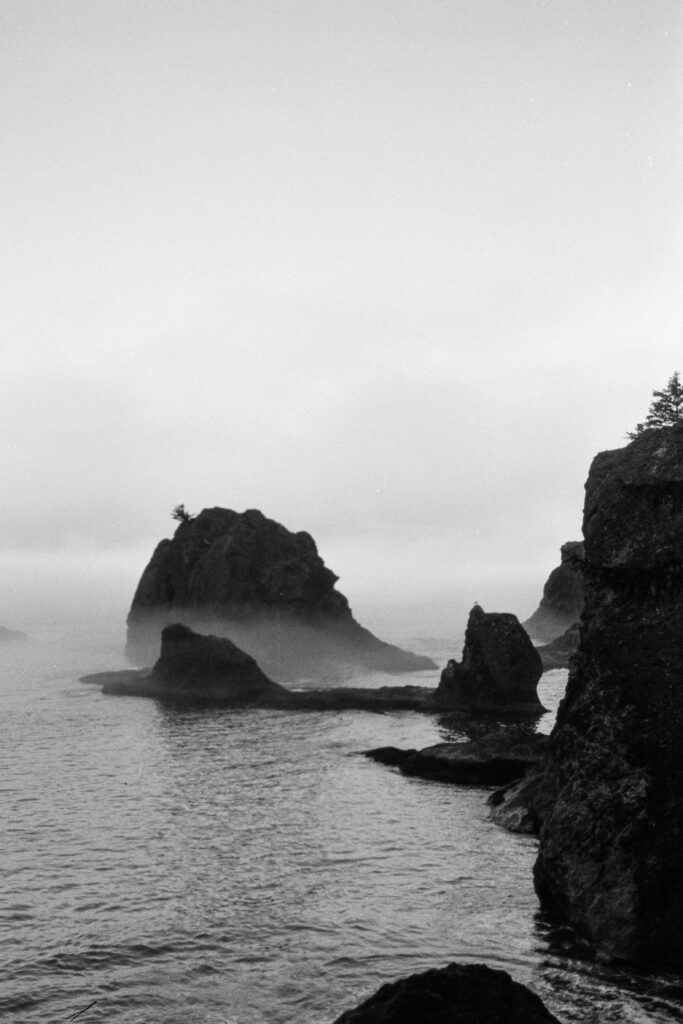 Oregon Coast on Ilford Ortho black and white film