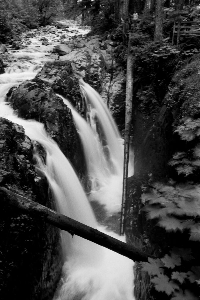Olympic National Park on Ilford Ortho black and white film