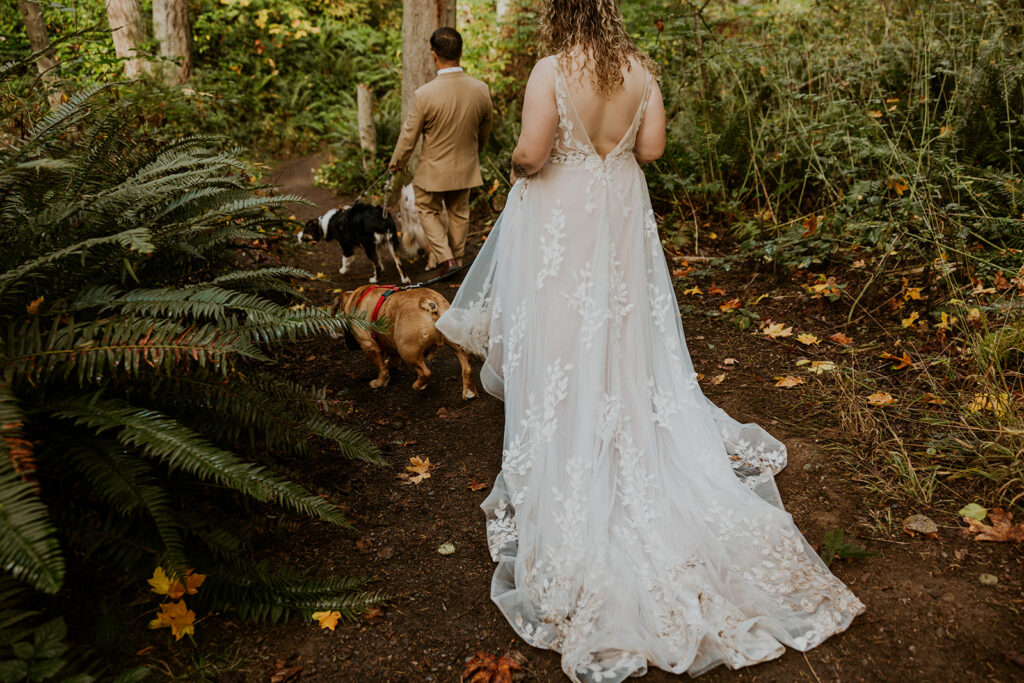 Hiking with dogs in Olympic National Park on their elopement day