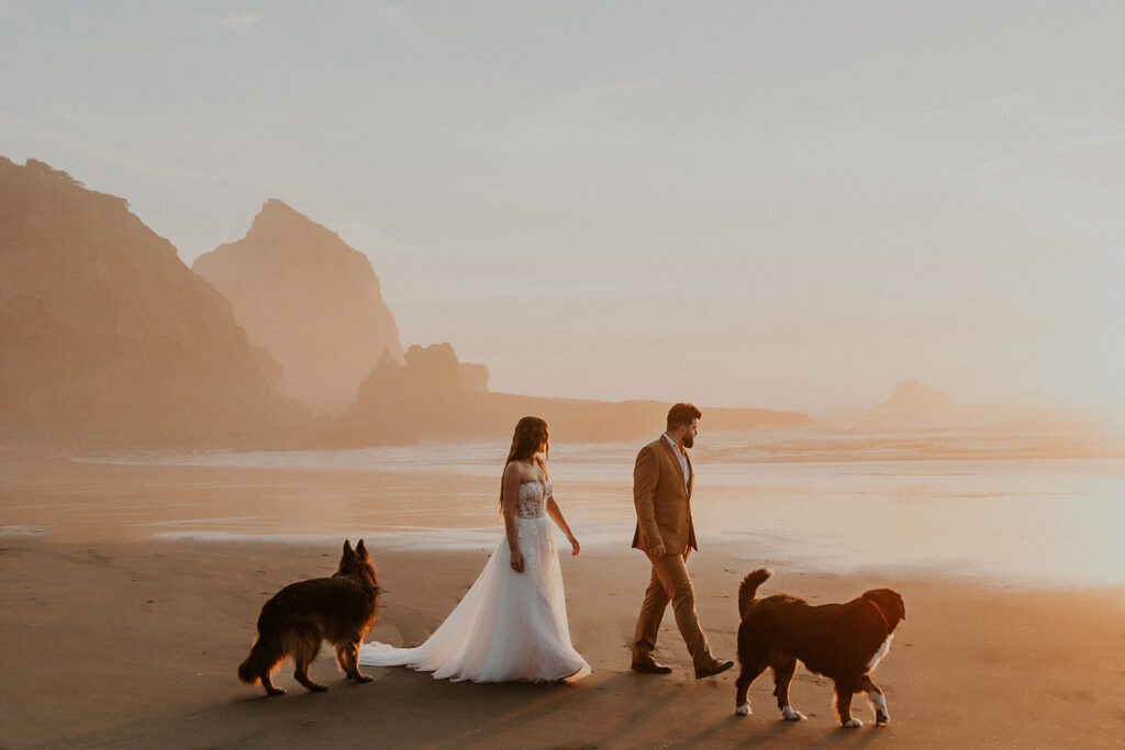 A wedding couple walking on an Oregon Coast beach at sunset with two dogs