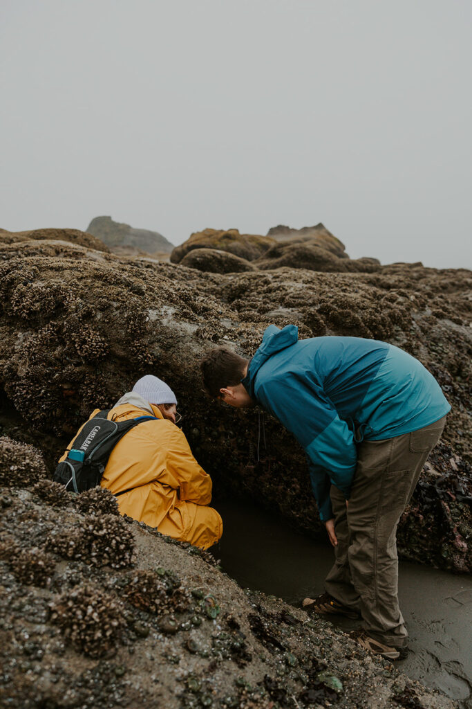 Couple tide pooling on the Washington Coast