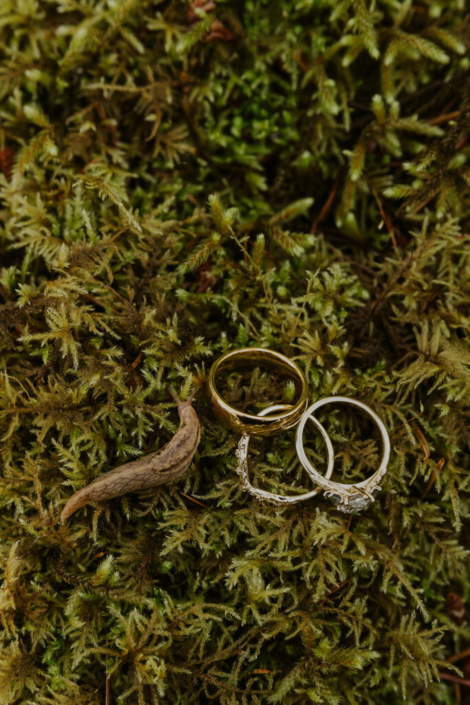 A slug with 3 wedding rings