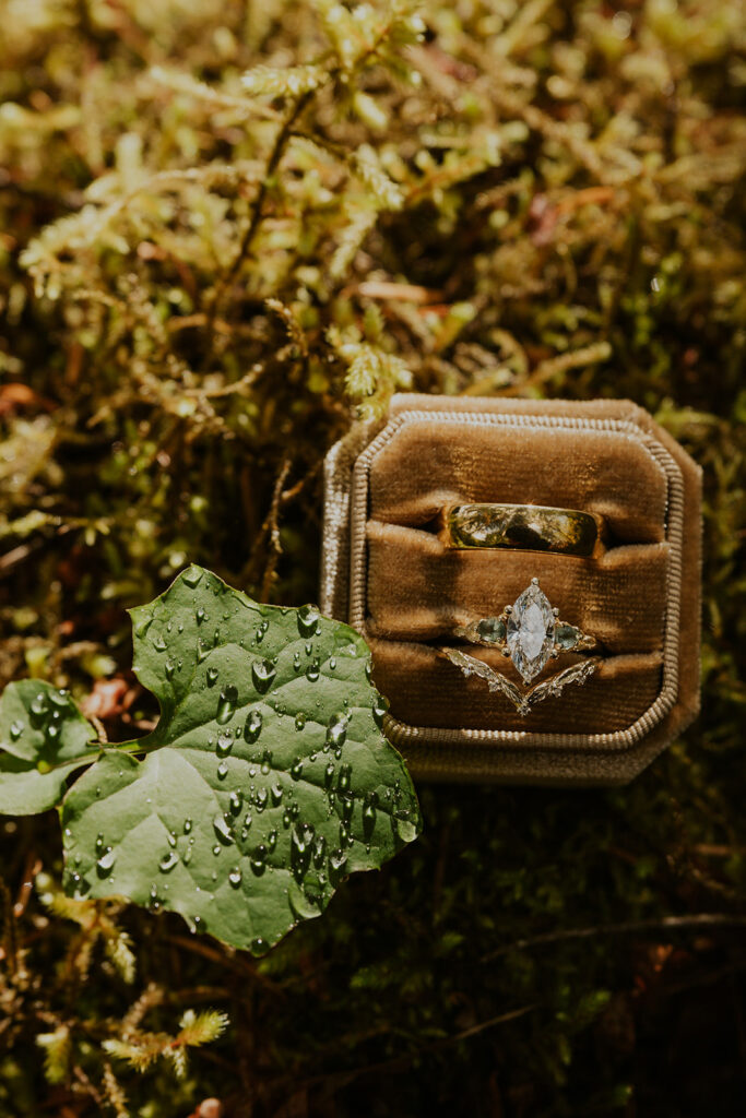 A wedding ring in a ring box with moss and leaves in the background