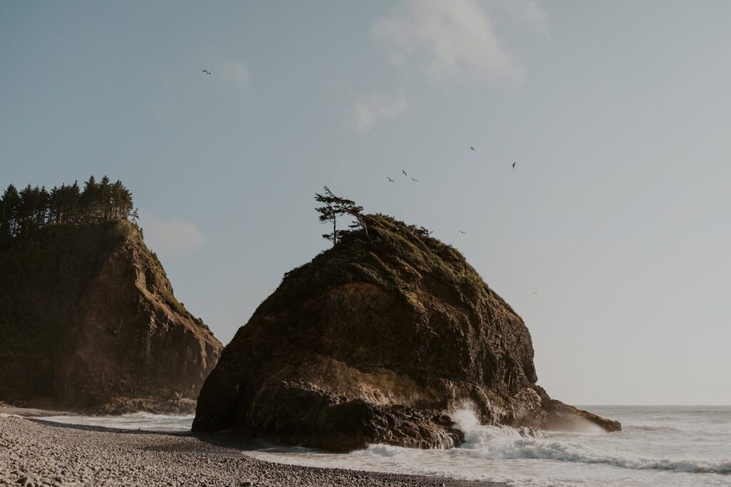 A rock with seagulls flying above it on the Oregon Coast