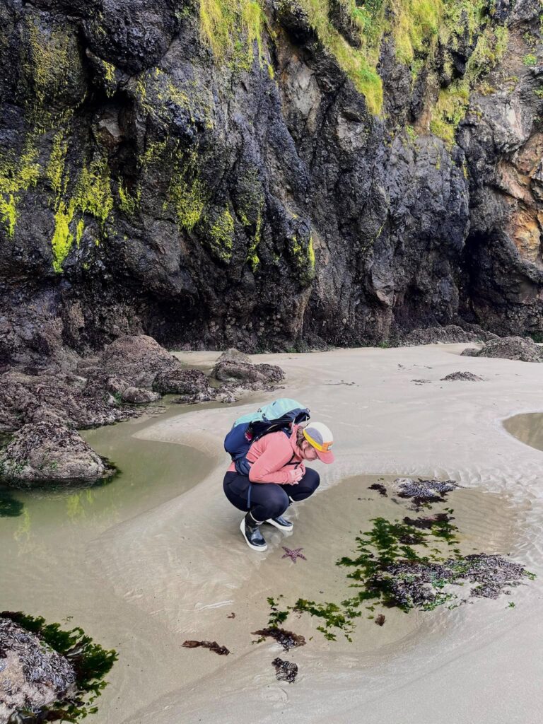 Miki of Venturing Vows looking at a starfish in an Oregon Coast tide pool